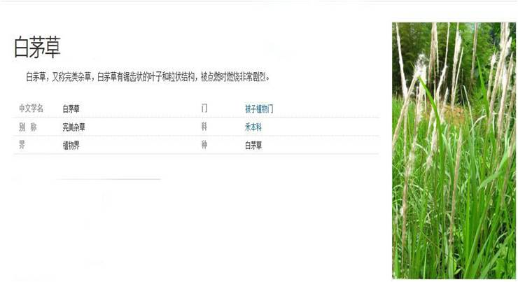 圖片32.jpg